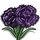 Black Carnation-icon