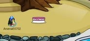 Birthdaycakeinanigloo
