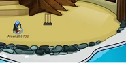 Cricketwicketsinanigloo
