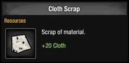 Cloth Scrap