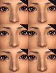 Female Noses (DW7E)