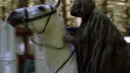 103EscapeOnHorseback