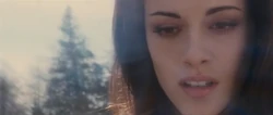 Bella-relent-shield
