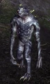 Scalon