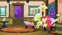 Granny Smith and Apple Bloom laughing at a photo S3E8