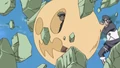 Gomudama.png