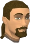 Thorkel Silkbeard chathead.png