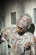 Walking-Dead-312-08