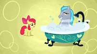 Too clean stallion S02E17