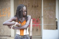 TWD GP 312 0912 0388