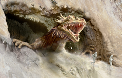 Canyonkraytdragon