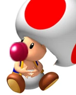 Baby toad