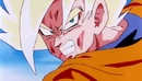 GokuS15