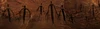 FoNV Root People