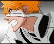 Fullbring-ichigo-3957139247