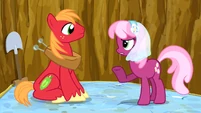 Big McIntosh looking at Cheerilee S02E17