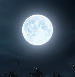 The moon