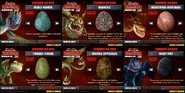 Complete (1)
