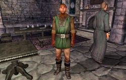 The Faithful Squire
