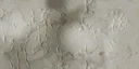 GTSE4F e85ce693 14