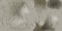GTSE4F 0acc0ec7 14