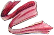 Power Sash FFII Art
