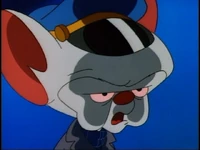 A pinky and the brain PINKY AND THE BRAIN D1-0(1)