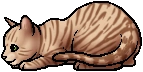 Tawnypelt.kit.alt.png (8 KB) Tawnypelt.kit.alt