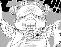 Amazon Manga Pre Timeskip Infobox