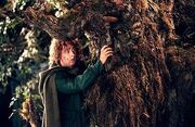 Pippin-and-treebeard