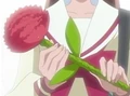 HPC14.Flower