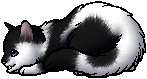 Hoot.kit