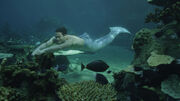 Zac swimming