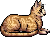 Speckletail.elder