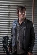 Daryl 12