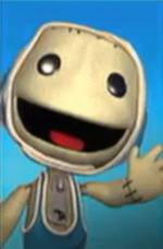 Wrestler sackboy