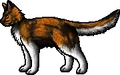 Dappled Pelt.rogue.png