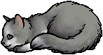 Mousewhisker.kit