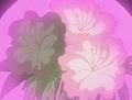 HPC21.Flower