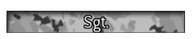 Sgt. title MW2