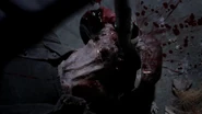 Twd314002271
