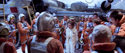 TheFateofAllFemaleWookieepedians