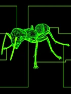 FO2 Ant target