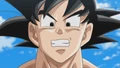 GokuSummonShenron1(BoG)