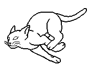 Femaleshortsoftpaw