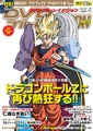 DVD&Blu-rayVisionCoverByYamamuro(April2013)
