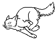 Femalelongsoftpaw