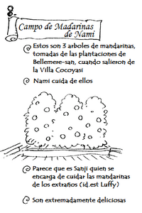 Going Merry mandarinas