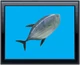 Fishycon