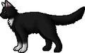 Cloud Spots.rogue.png